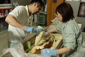 発泡ウレタン流し込み(2023年8月24日)②