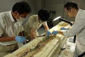 裏面の発掘作業(2023年8月30日)写真