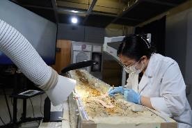 裏面の発掘作業(2023年10月3日)写真