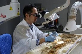 クリーニング作業(2023年10月11日)写真