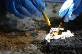 クリーニング作業(2024年1月4日)写真